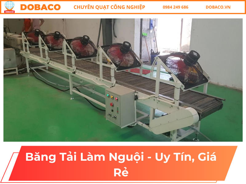 Băng Tải Làm Nguội - Uy Tín, Giá Rẻ