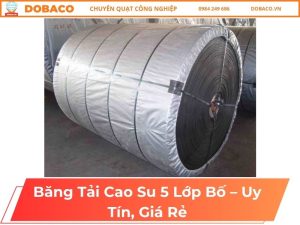 Băng Tải Cao Su 5 Lớp Bố - Uy Tín, Giá Rẻ