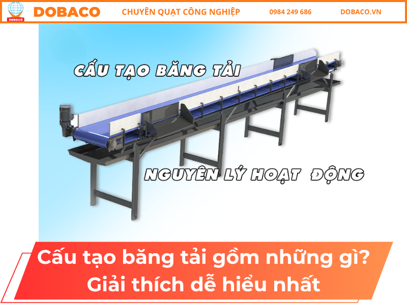 Cấu Tạo Băng Tải Gồm Những Gì? Giải Thích Dễ Hiểu Nhất